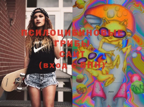ECSTASY Абинск