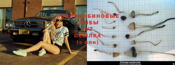 мескалин Алзамай