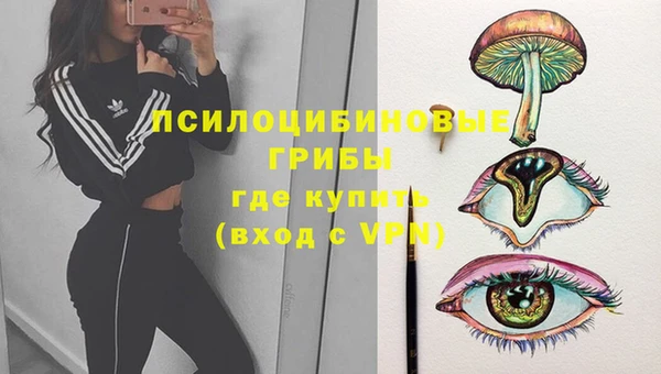 ECSTASY Абаза